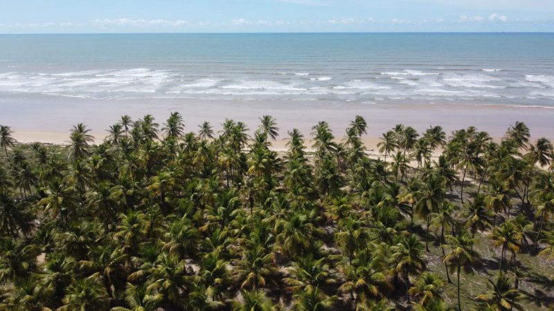 Terreno em Condomínio - Venda - Se 100 - Barra dos Coqueiros - SE